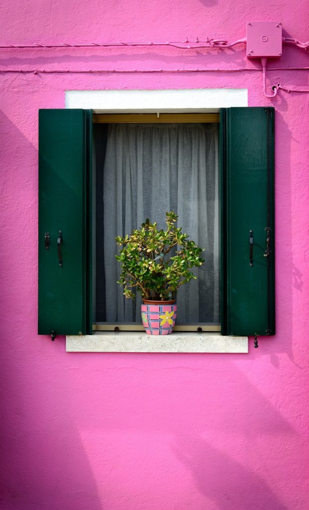 purple window, house, balcony plants-864295.jpg